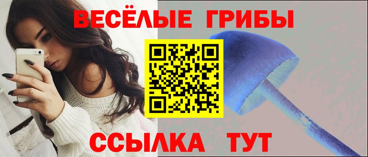 Галлюциногенные грибы Psilocybine cubensis Батайск