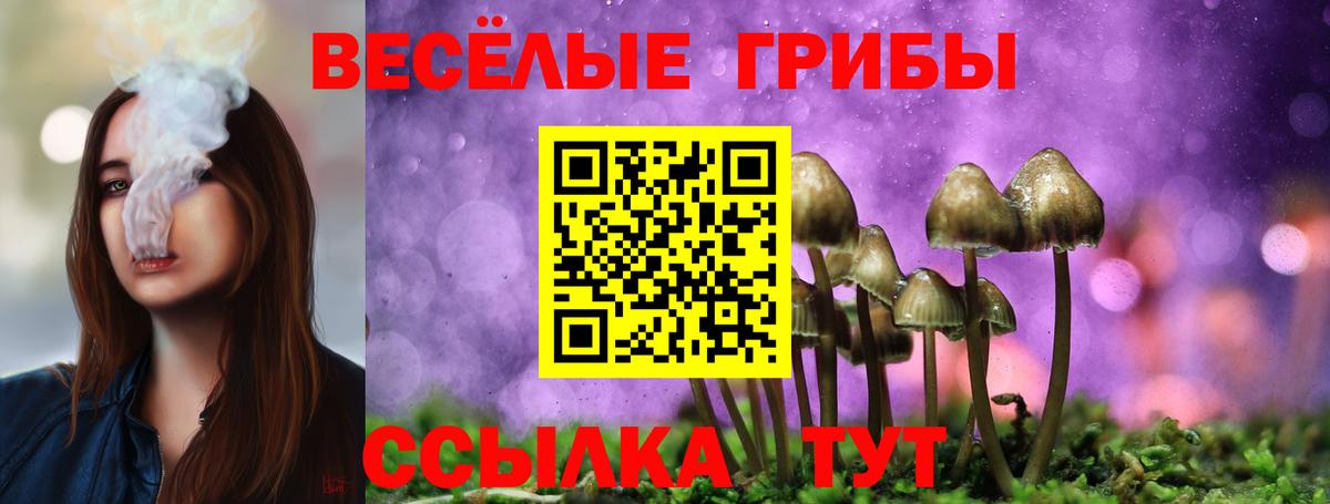 Галлюциногенные грибы MAGIC MUSHROOMS  Псилоцибиновые грибы Cubensis  закладка  Батайск  Вход с VPN 
